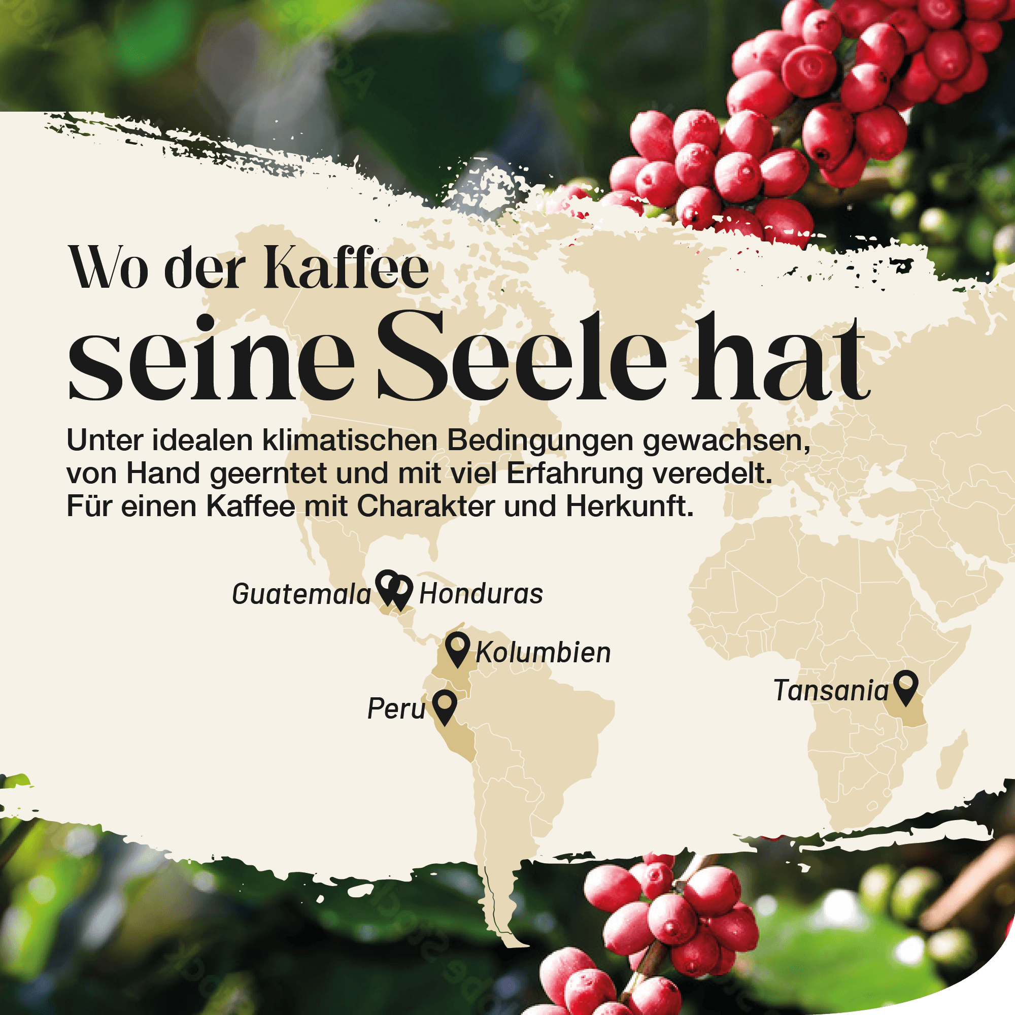 Herkunftsländer Kaffee