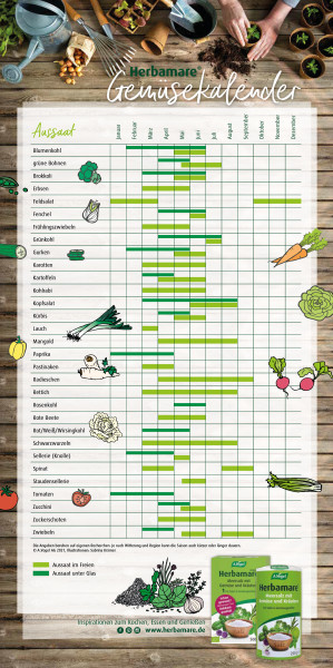 Flyer Gemüsekalender